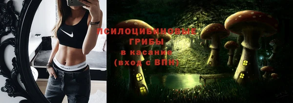 спиды Беломорск