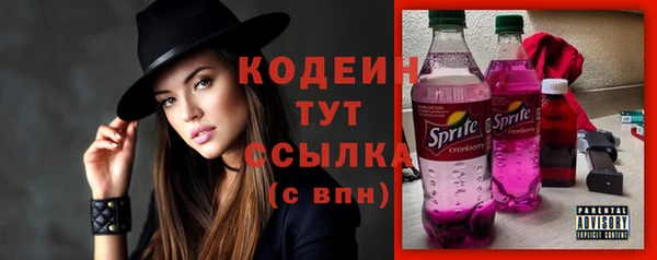 стаф Богданович