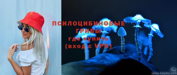 эйфоретик Белоозёрский