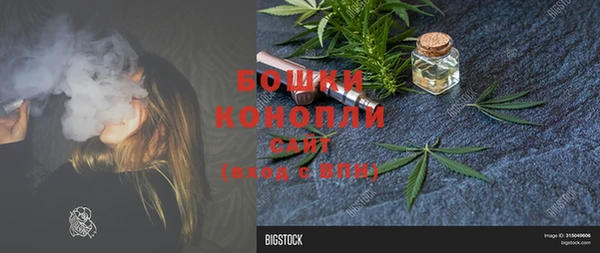 соль курить ск Белокуриха