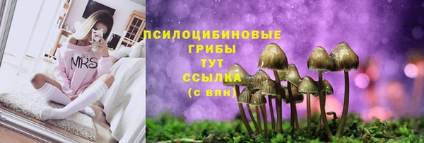 эйфоретик Белоозёрский